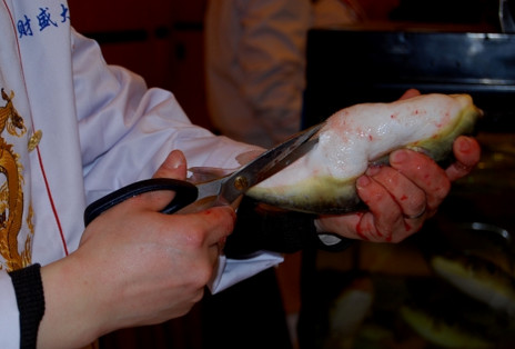 河豚魚怎么吃？河豚魚怎么去毒