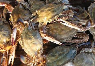 梭子蟹為什么這么貴？梭子蟹和大閘蟹哪個(gè)貴？