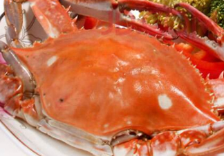 飛蟹不能和什么一起吃？飛蟹和什么不能一起吃？