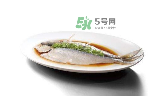 鰣魚刺多嗎？鰣魚可以養(yǎng)殖嗎