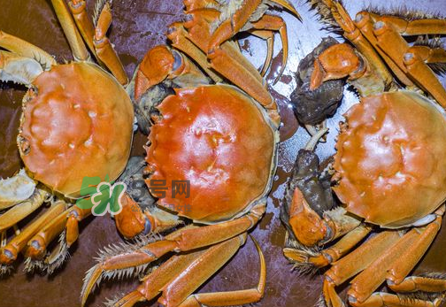 大閘蟹可以帶上高鐵嗎？坐高鐵可以帶大閘蟹嗎？