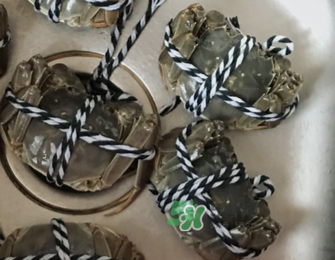 大閘蟹可以水煮嗎？大閘蟹煮多久？