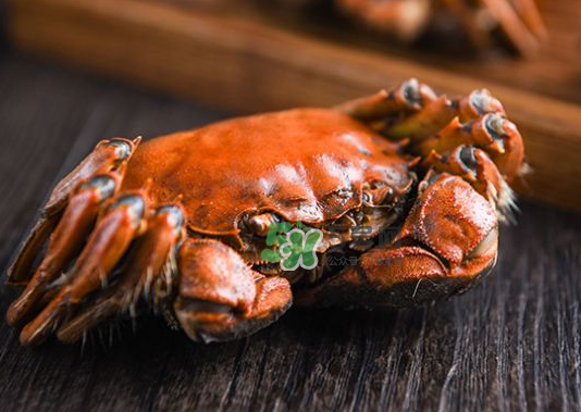 大閘蟹煮熟了能放多久？大閘蟹煮熟了可以冷凍嗎？