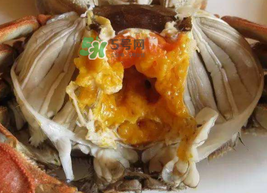 大閘蟹不能和什么一起吃？大閘蟹和什么食物相克？
