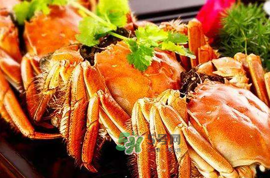 大閘蟹不能和什么一起吃？大閘蟹和什么食物相克？