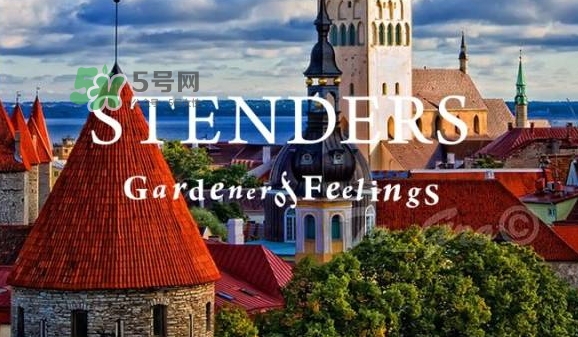 施丹蘭孕婦可以用嗎？stenders施丹蘭懷孕可以用嗎