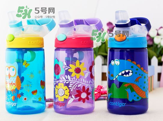 contigo水杯怎么樣？contigo水杯是什么材質？