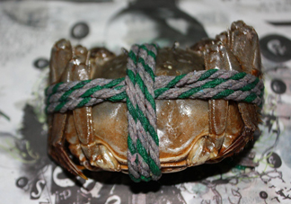 大閘蟹可以帶上高鐵嗎？坐高鐵可以帶大閘蟹嗎？