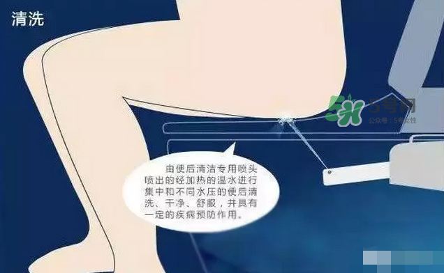 孕期可以蹲著上廁所嗎？孕期上廁所會壓到寶寶嗎？