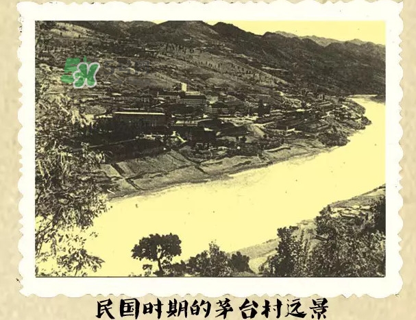 茅臺酒為什么那么貴？茅臺酒為什么這么貴