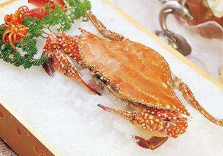 ?花蟹可以放冰箱嗎？花蟹怎么保存才新鮮？