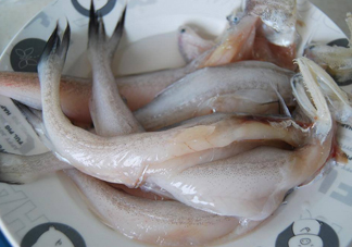 買龍頭魚怎么挑選？冰凍龍頭魚怎么去內(nèi)臟