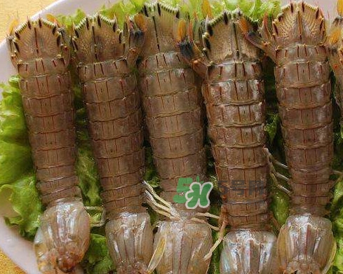 蝦蛄是皮皮蝦嗎？蝦蛄和皮皮蝦的區(qū)別