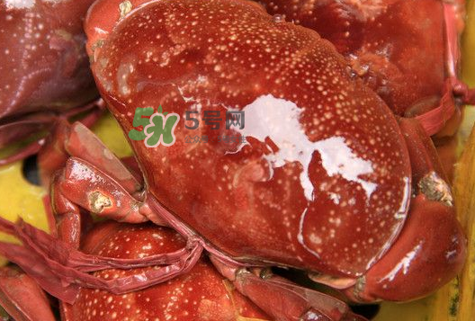 海螃蟹能冷凍保存嗎？海螃蟹放冰箱冷凍嗎？