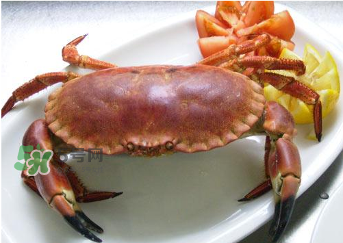 海螃蟹能冷凍保存嗎？海螃蟹放冰箱冷凍嗎？