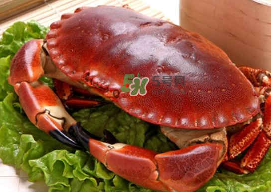 面包蟹可以水煮嗎_面包蟹煮多長(zhǎng)時(shí)間_面包蟹怎么煮