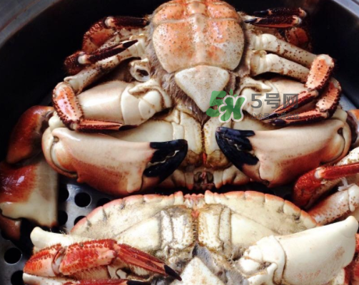 面包蟹可以直接蒸嗎？清蒸面包蟹怎么做？