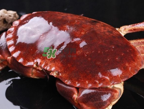 面包蟹不能和什么一起吃？吃面包蟹不能吃什么？