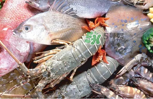 蝦蛄蝦殼怎么剝才好？蝦蛄怎么清洗