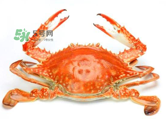 ?花蟹可以放冰箱嗎？花蟹怎么保存才新鮮？