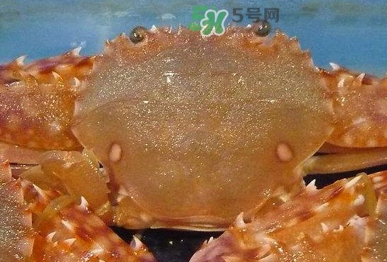 ?花蟹可以放冰箱嗎？花蟹怎么保存才新鮮？