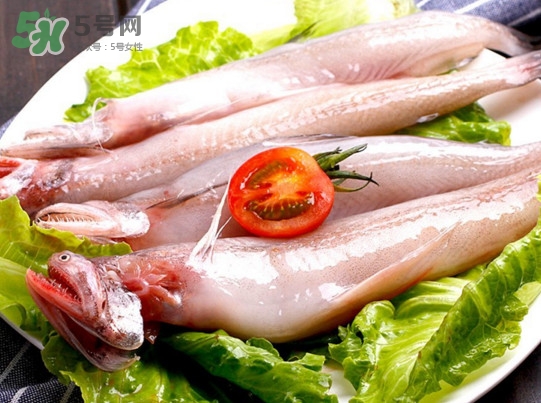 龍頭魚是海魚嗎？龍頭魚是海鮮嗎