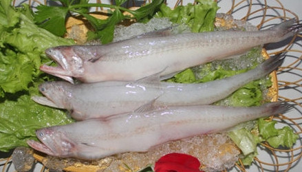 龍頭魚怎么做好吃？龍頭魚干怎么做好吃