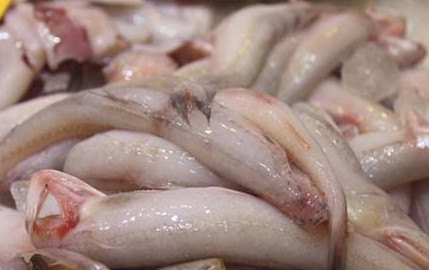 龍頭魚怎么做好吃？龍頭魚干怎么做好吃