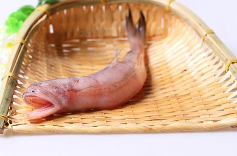 龍頭魚怎么做好吃？龍頭魚干怎么做好吃