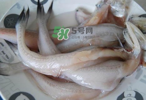 龍頭魚(yú)怎么殺？龍頭魚(yú)怎么處理？