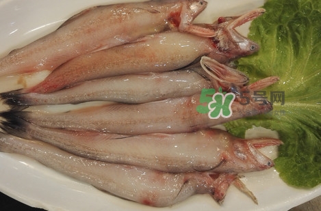 龍頭魚(yú)怎么殺？龍頭魚(yú)怎么處理？