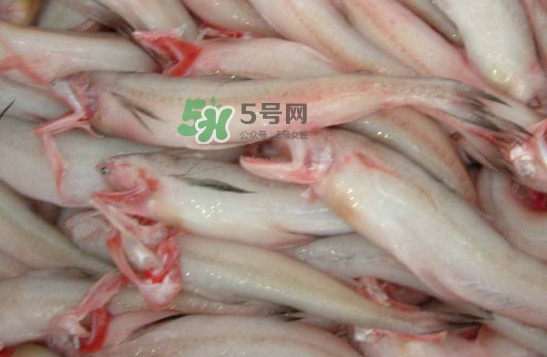 龍頭魚怎么炸？龍頭魚怎么做湯