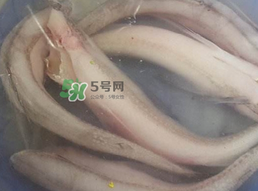 買龍頭魚怎么挑選？冰凍龍頭魚怎么去內(nèi)臟