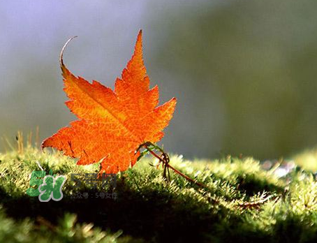 立秋后是不是早晚天氣涼？立秋后天氣有什么變化？