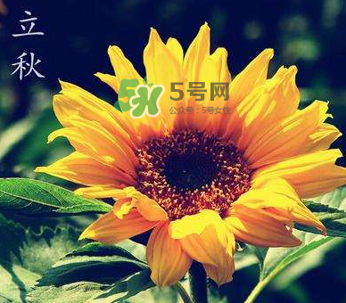 立秋后是不是早晚天氣涼？立秋后天氣有什么變化？