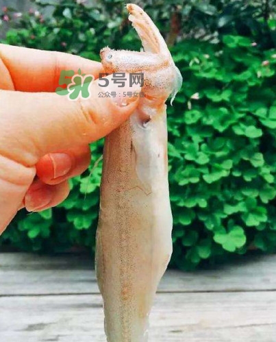 水潺怎么讀？水潺是海鮮嗎