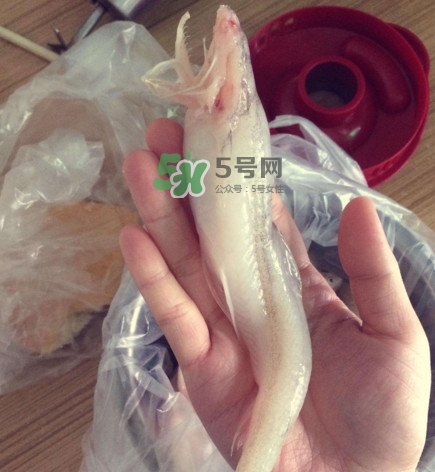 海鮮水潺孕婦可以吃嗎？水潺魚的營(yíng)養(yǎng)價(jià)值