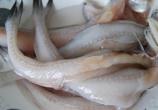 龍頭魚怎么殺？龍頭魚怎么處理？