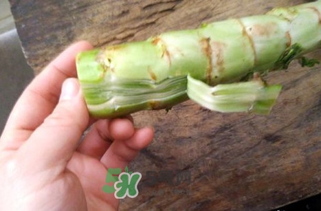 青筍怎么做好吃？青筍怎么去皮快