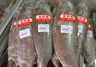 龍利魚怎么挑選？龍利魚與越南巴沙魚的區(qū)別