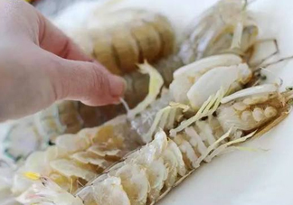 蝦蛄怎么讀？蝦蛄多少錢一斤