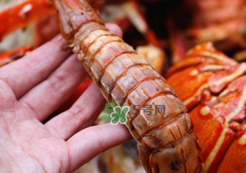 蝦蛄怎么吃？蝦蛄怎么做好吃？