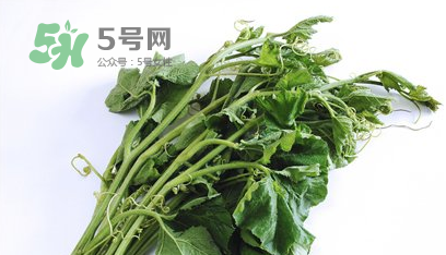 南瓜苗怎么做好吃？南瓜苗怎么撕？