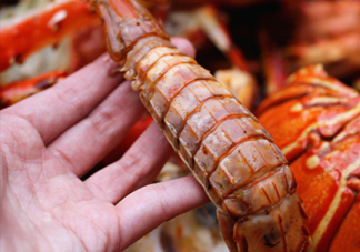 蝦蛄怎么吃？蝦蛄怎么做好吃？