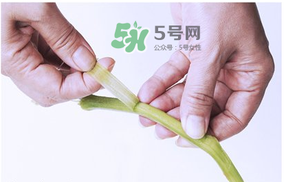 南瓜苗怎么做好吃？南瓜苗怎么撕？