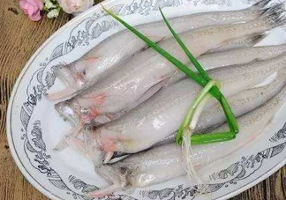 海鮮水潺孕婦可以吃嗎？水潺魚的營(yíng)養(yǎng)價(jià)值