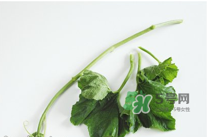 南瓜苗怎么做好吃？南瓜苗怎么撕？