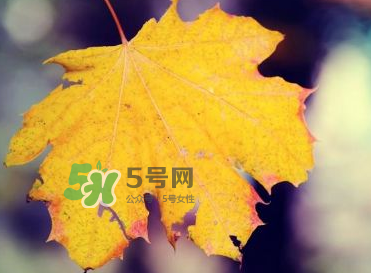 立秋后吃什么好？立秋后怎么養(yǎng)生？