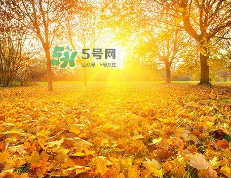 立秋后吃什么好？立秋后怎么養(yǎng)生？