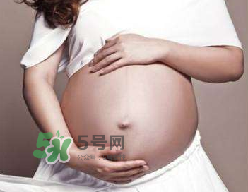 四維彩超的最佳時(shí)間 四維彩超什么時(shí)候做最好？